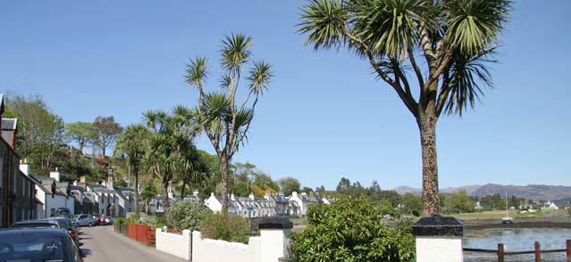 The main street in Plockton showing the palm trees!